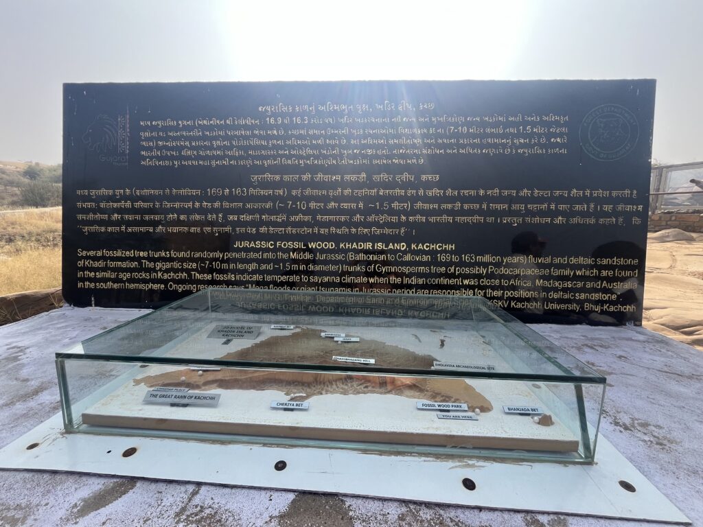 Dholavira Fossil Park